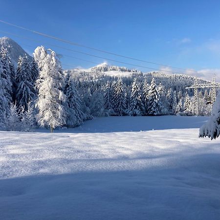 Ferienwohnung Remise Am Reitl Fieberbrunn Esterno foto