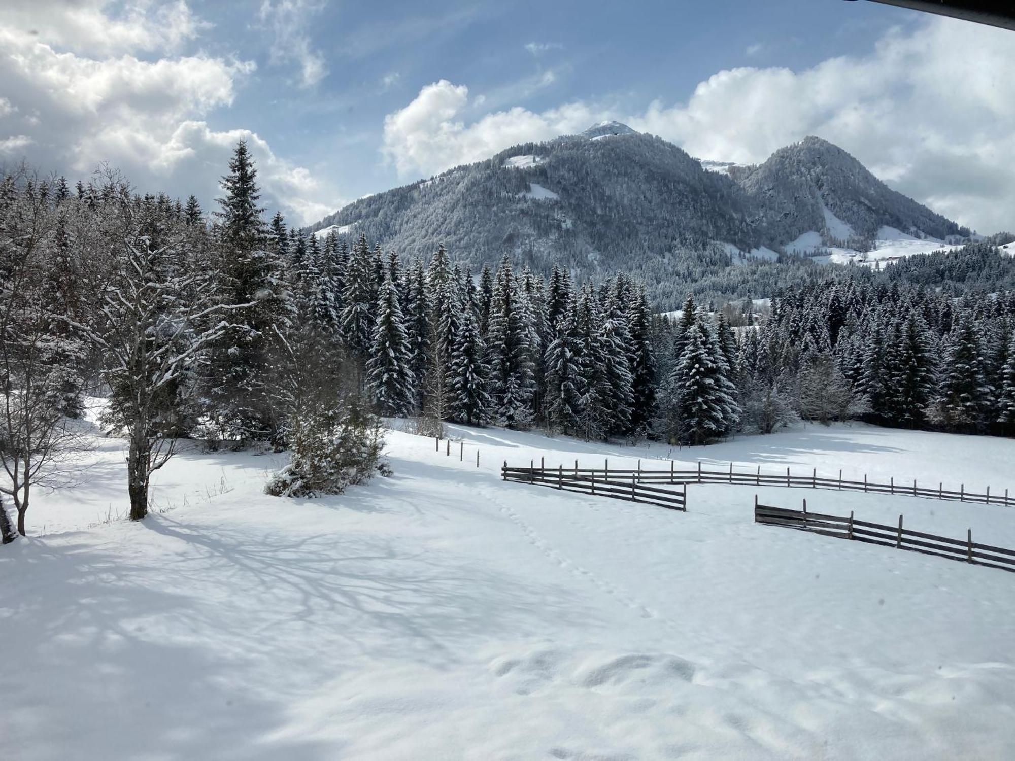 Ferienwohnung Remise Am Reitl Fieberbrunn Esterno foto
